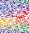 vector abstract skin texture of zebra