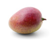 Mango fruit