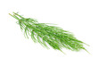 horsetail