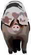 cochon