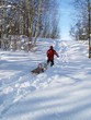 Winterfreude