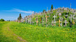 Panorama of Hill of Crosses, Lithuania