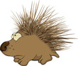 Small hedgehog. Cartoon