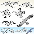 AMAZING FLYING BIRDS VECTOR AMAZING FLYING BIRDS VECTOR