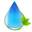 Drop With Leafs Drop With Leafs