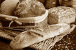 Set of freshly baked bread in sepia tone Set of freshly baked bread in sepia tone