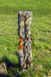 Photo: Living Llichen on Kohala Mountains Living Llichen on Kohala Mountains