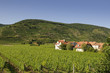 Winzerdorf im Weingarten