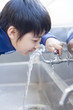水道の水を飲む小学生男子