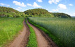 Country road to mountains and to the village