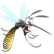 Zanzara Tigre Cartoon-Funny Mosquito-Moustique-Vector