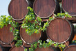 Wine barrels