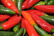 Paprika - Peperoni - bunt