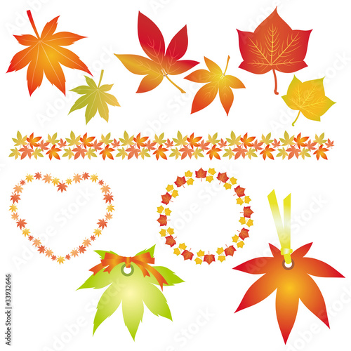 Vector: maple set maple set