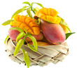 mangue mûre, tranche ouverte en cubes mangue mûre, tranche ouverte en cubes