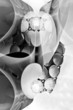 abstract metal pipes