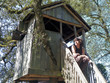 cabane dans les arbres