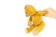 old bear