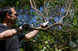 ramasser les branches