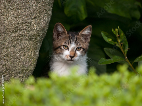 photo par Seiji
