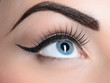 Beautiful blue eye Beautiful blue eye