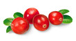 Cranberries