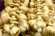 Garlics