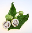 Noni Fruit