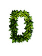 letter leaves D