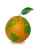 Foto: orange with world map orange with world map