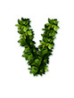 letter leaves V