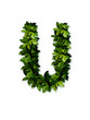 letter leaves U