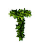 letter leaves T
