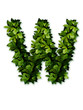 letter leaves W