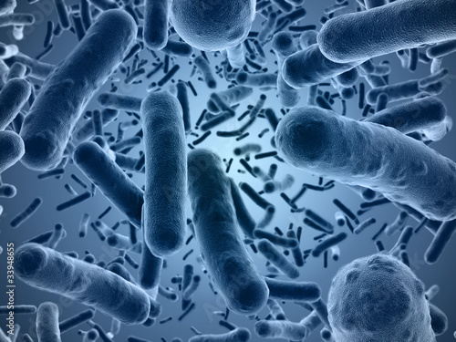 Illustration: Bacteria seen under a scanning microscope Bacteria seen under a scanning microscope