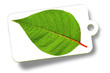 etikett natur etikett natur