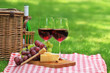 Picnic with red wine