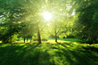 wald1