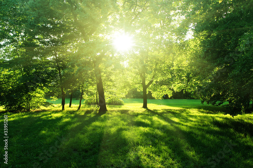 Photo: wald1 wald1