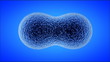 3d rendering of a cell dividing. 3d rendering of a cell dividing.