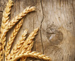 Wheat Ears on the Wood Background Wheat Ears on the Wood Background