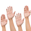 Hand raise up on white