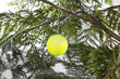 Foto: Tennis Christmas Tennis Christmas