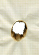 burnt out hole burnt out hole