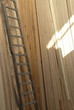 legno5