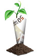 euro plant