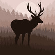 Rain deer in wild forest