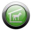 Green Metallic Orb Button "Stable"