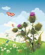 Thistle
