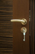 Door handle